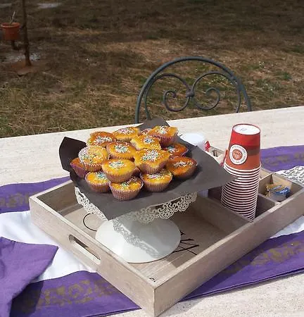 Vakantieboerderij Bronzivalle *