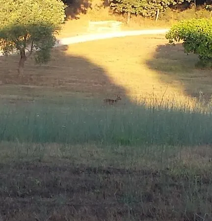 Bronzivalle Vakantieboerderij
